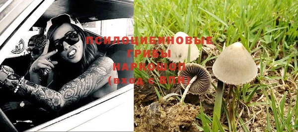 ГАЛЛЮЦИНОГЕННЫЕ ГРИБЫ Белоозёрский