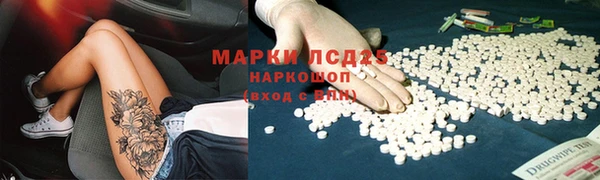 ГАЛЛЮЦИНОГЕННЫЕ ГРИБЫ Белоозёрский