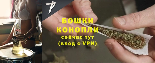 не бодяженный Новозыбков