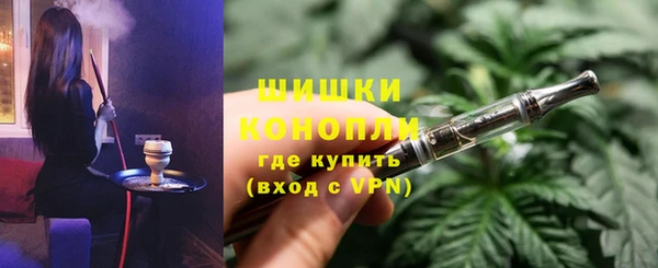 гидра Белокуриха