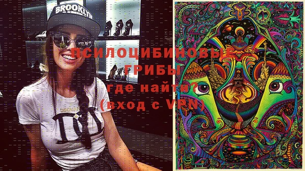 ГАЛЛЮЦИНОГЕННЫЕ ГРИБЫ Белоозёрский