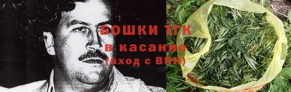 гидра Белокуриха