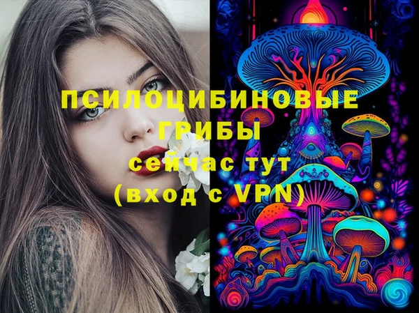 гашик Баксан