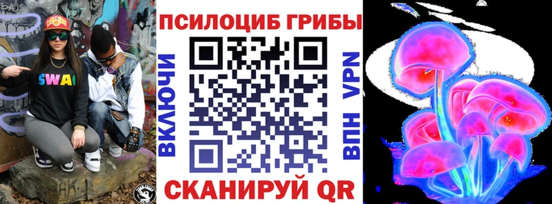 Псилоцибиновые грибы Psilocybine cubensis  Рудня 