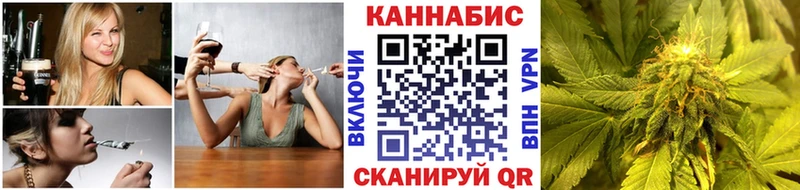 Конопля планчик  Рудня 